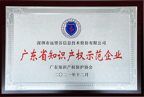 2021年广东省知识产权示范企业_南宫app官网_南宫体育app下载_app下载中心_副本.jpg